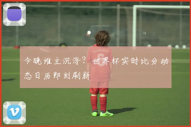 今晚谁主沉浮？世界杯实时比分动态日历即刻刷新