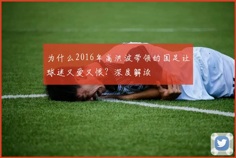 为什么2016年高洪波带领的国足让球迷又爱又恨？深度解读